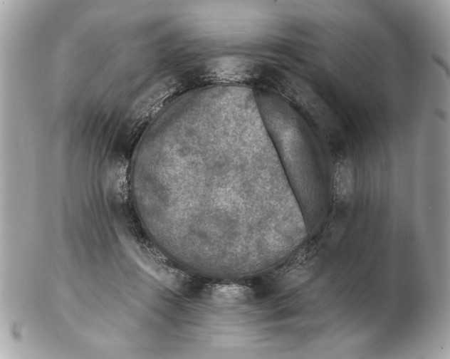 X0000102380360200808291406