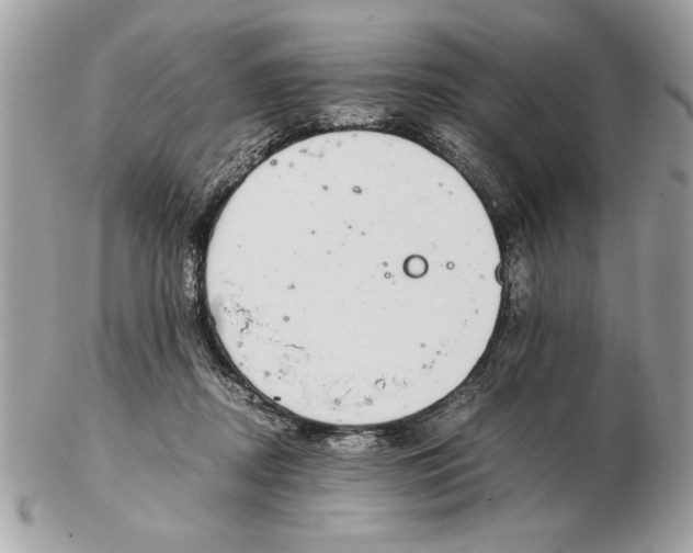 X0000102380362200808291406