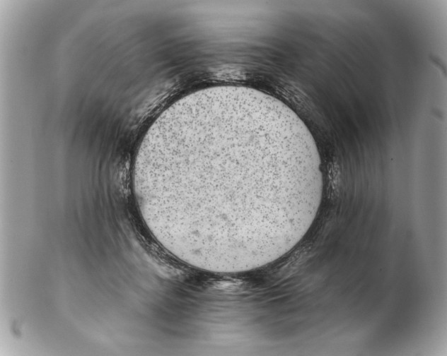 X0000102380364200808291406