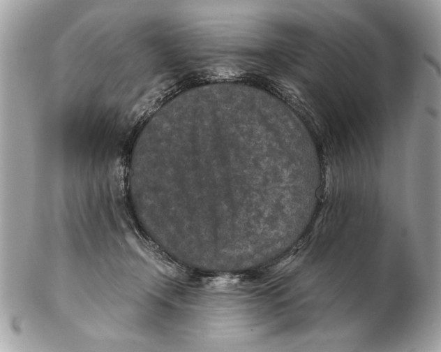 X0000102380366200808291406