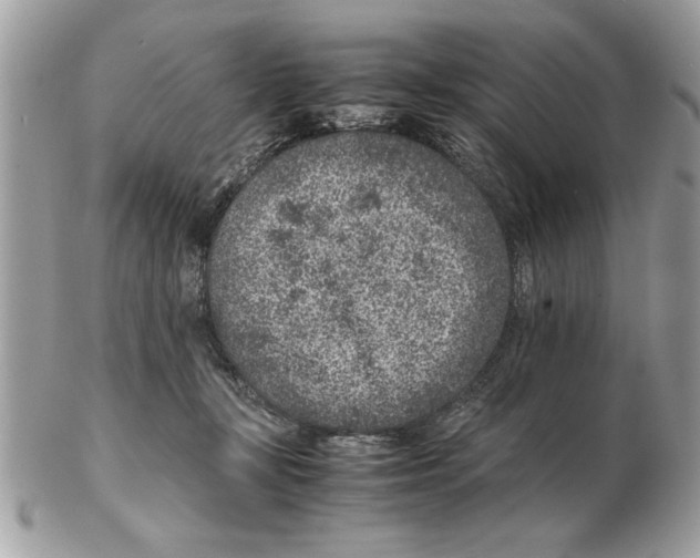 X0000102380367200808291406