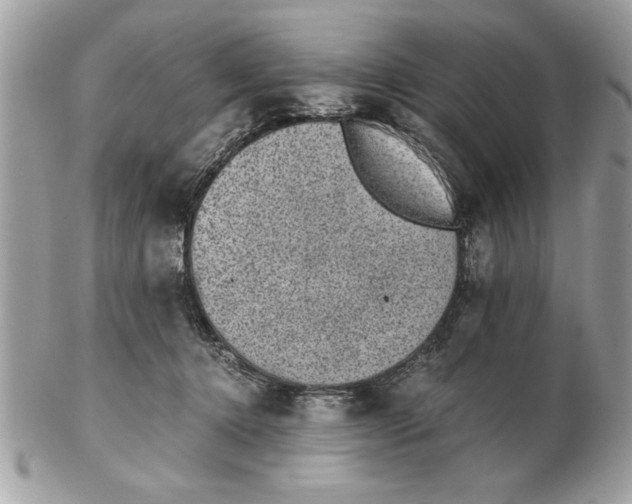 X0000102380368200808291406