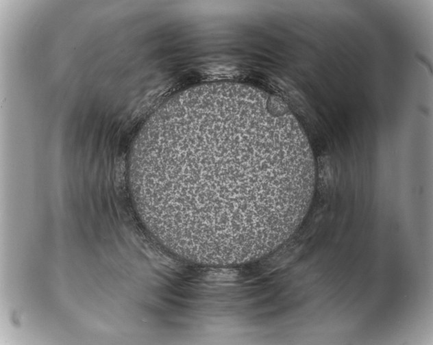 X0000102380369200808291406