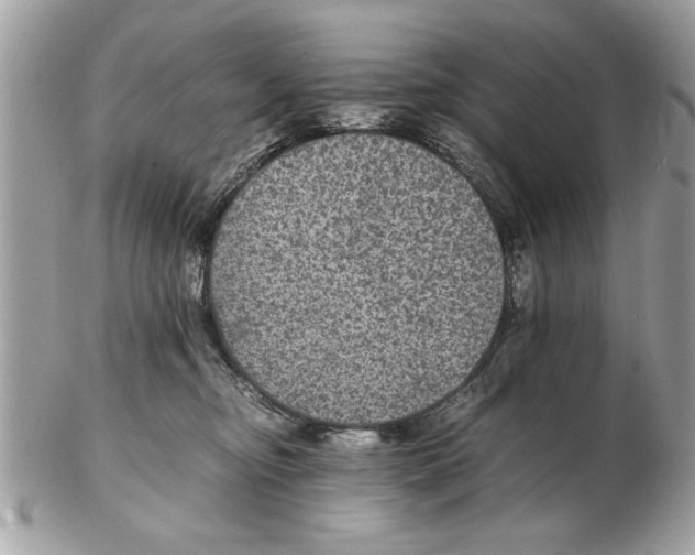 X0000102380374200808291406