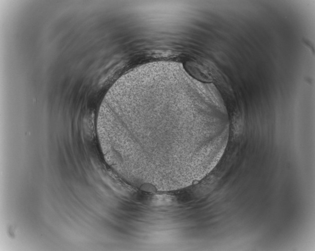 X0000102380376200808291406