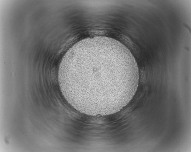 X0000102380377200808291406