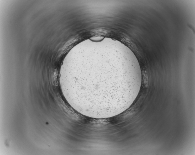 X0000102380378200808291406