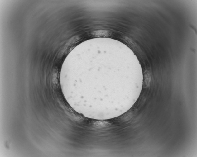 X0000102380379200808291406