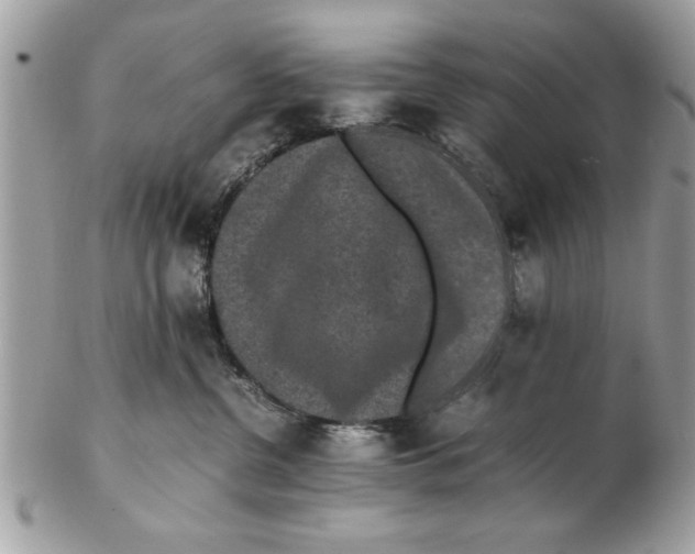 X0000102380380200808291406