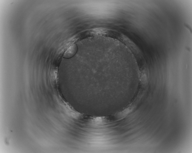 X0000102380382200808291406