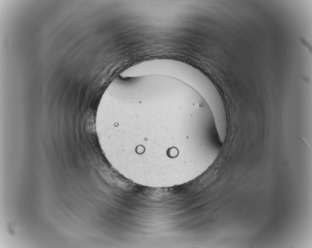 X0000102380384200808291407