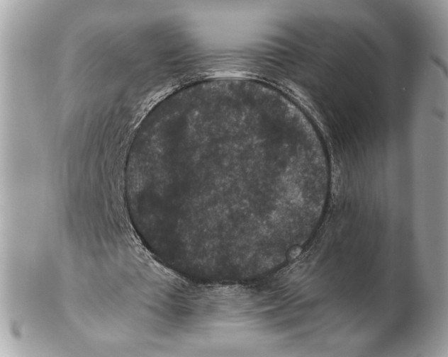 X0000102380385200808291406