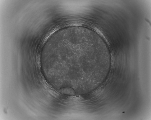 X0000102380386200808291406