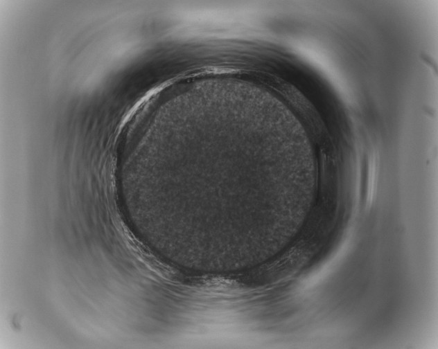 X0000102380387200808291406