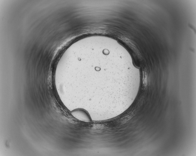 X0000102380388200808291406