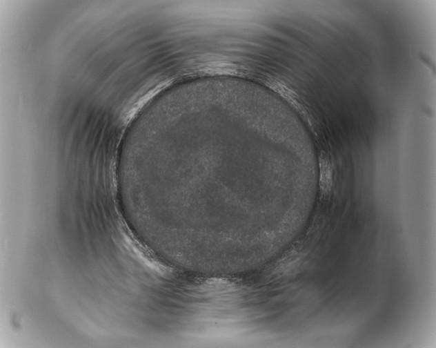 X0000102380390200808291406