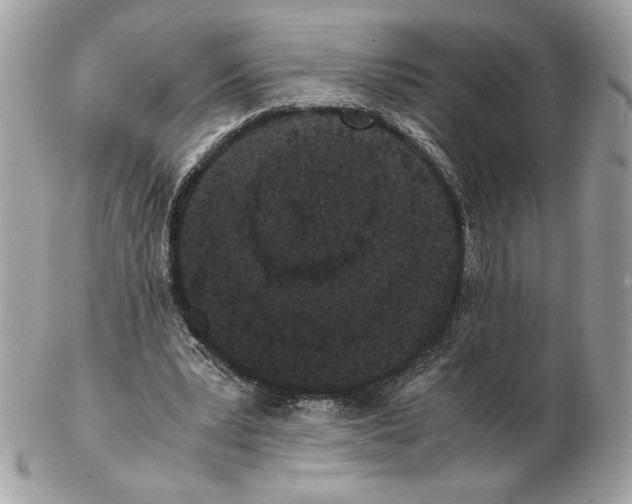 X0000102380391200808291406