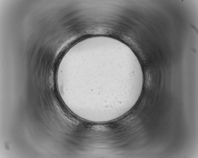 X0000102380392200808291406