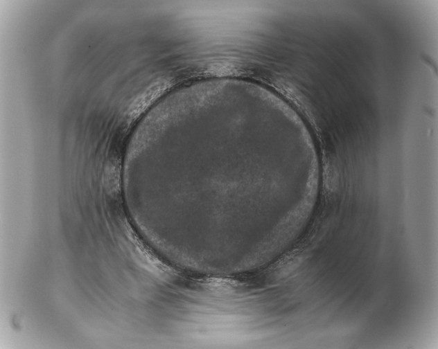 X0000102380393200808291406