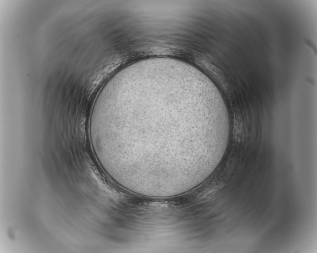 X0000102380394200808291406