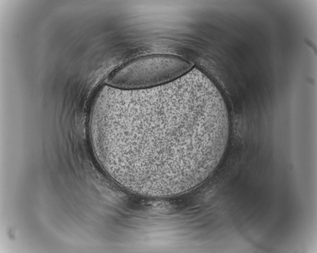 X0000102380395200808291406