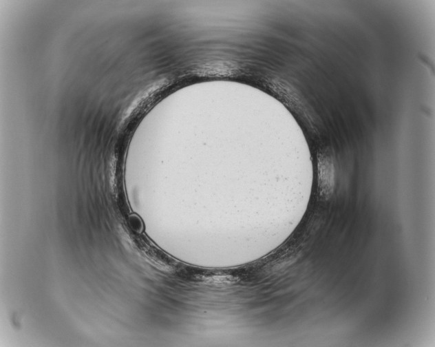 X0000102380396200808291406