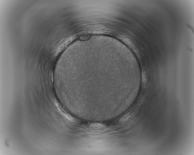 X0000102380397200808291406