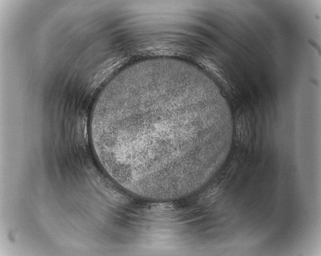 X0000102380398200808291406