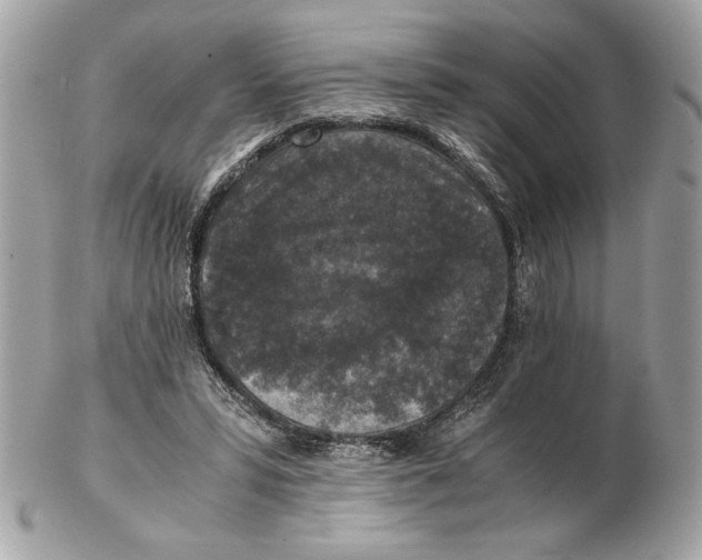 X0000102380399200808291406