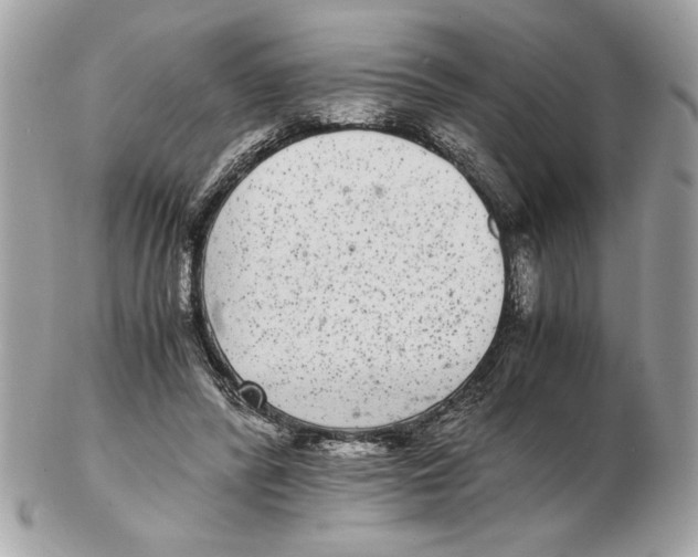 X0000102380400200808291406