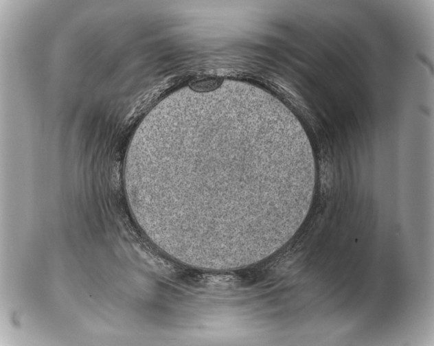 X0000102380401200808291406