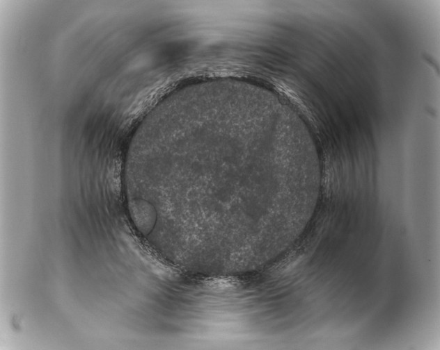 X0000102380402200808291406