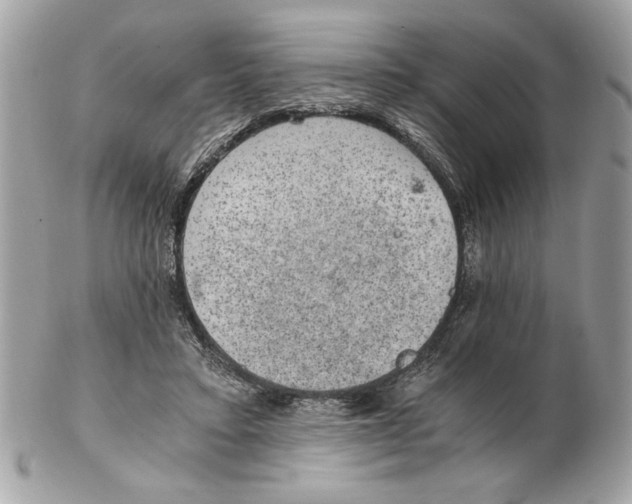 X0000102380403200808291406