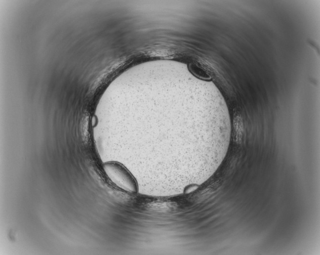 X0000102380404200808291406