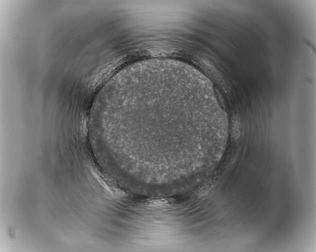 X0000102380405200808291406