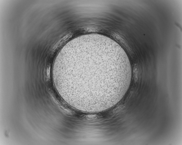 X0000102380406200808291405