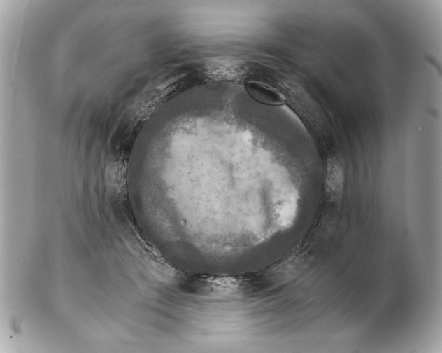 X0000102380409200808291405