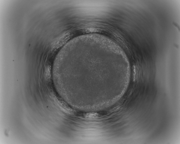 X0000102380410200808291405