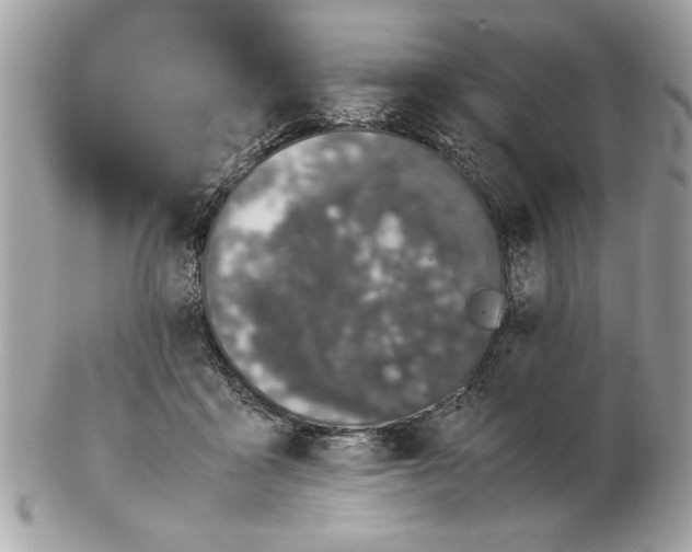 X0000102380411200808291405