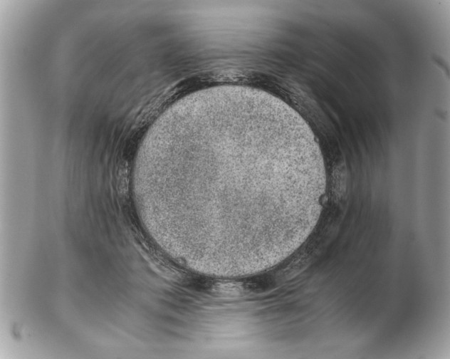 X0000102380413200808291405