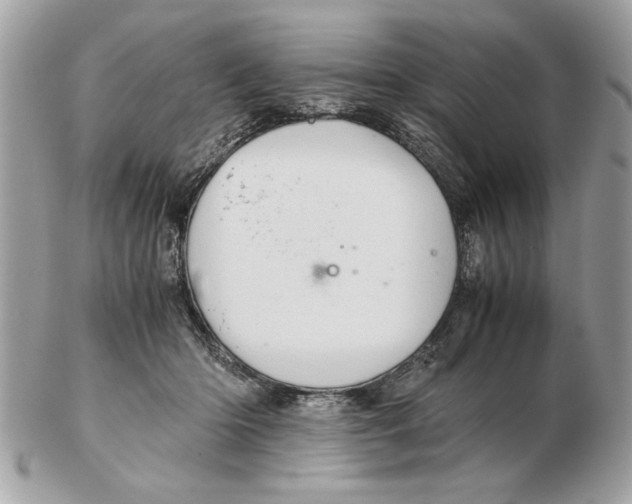 X0000102380414200808291405