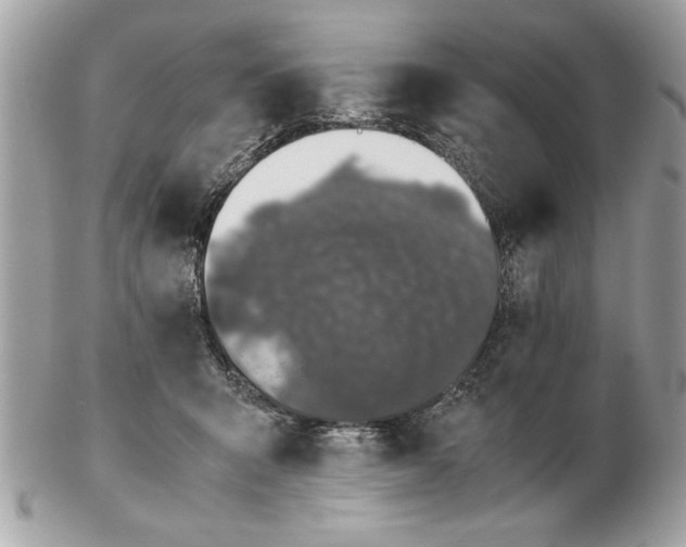 X0000102380415200808291405