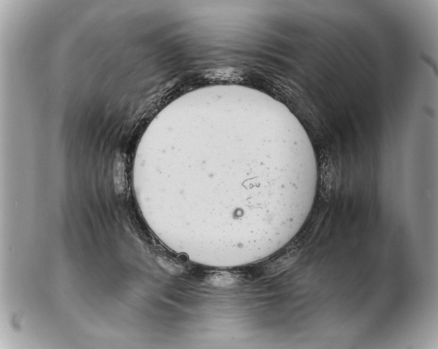 X0000102380416200808291405