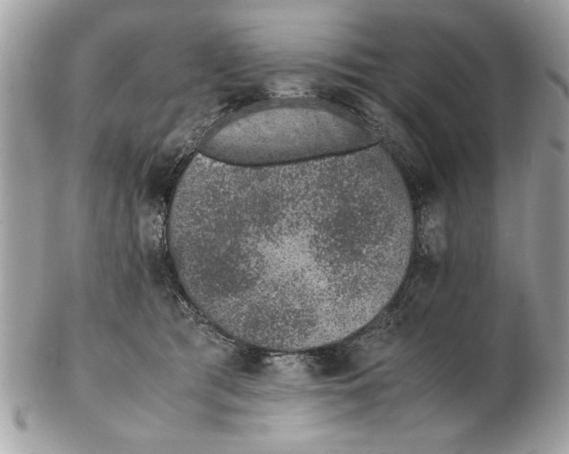 X0000102380417200808291405