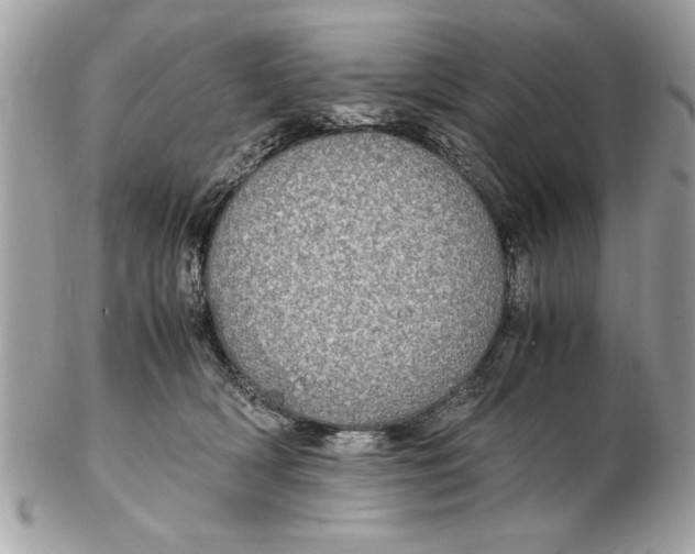 X0000102380418200808291405