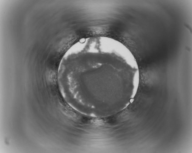 X0000102380419200808291405