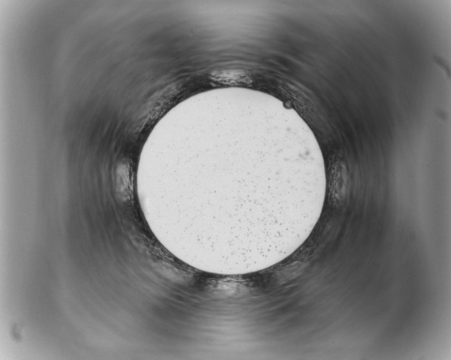 X0000102380420200808291405