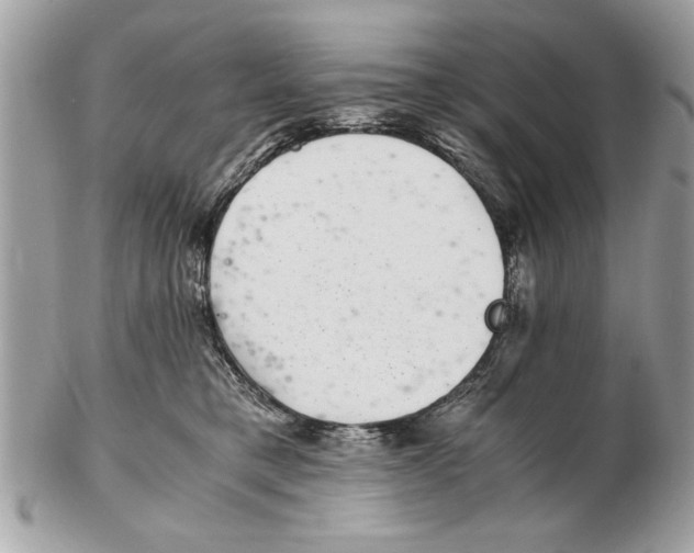 X0000102380421200808291405