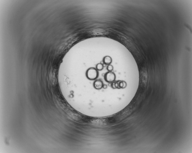 X0000102380422200808291405