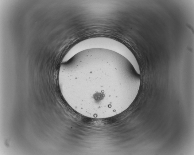 X0000102380423200808291405